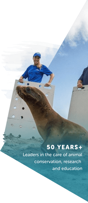 Conservation imagery