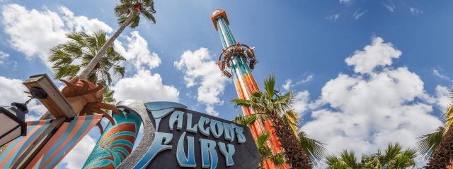 Image for Falcon's Fury