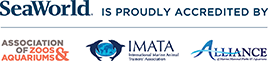 accreditation