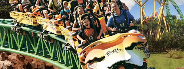 Image for Cheetah Hunt