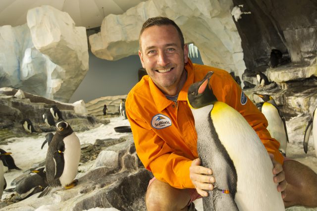 From Two Pints To All New Heights... Actor Will Mellor Enjoys Fun-Filled Family Holiday In Florida thumbnail image