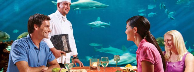 Image for SeaWorld VIP Tour