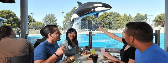 Image for Dine with Shamu