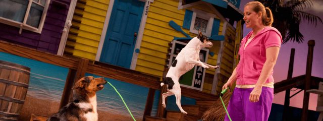 Image for Pets Ahoy