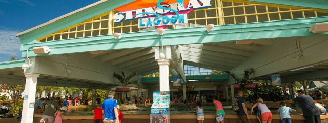 Image for Stingray Lagoon