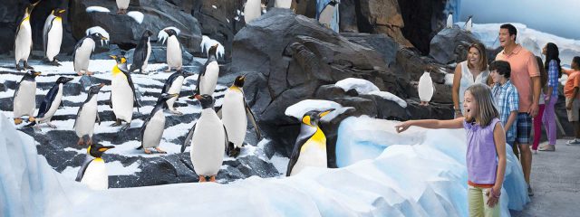 Image for Antarctica: Empire of the Penguin