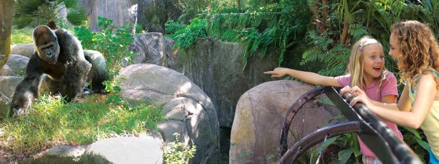 Image for Myombe Reserve