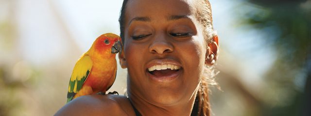 Image for Bird Gardens