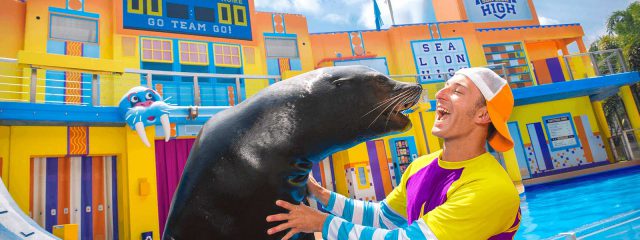 Image for Clyde and Seamore's Sea Lion High