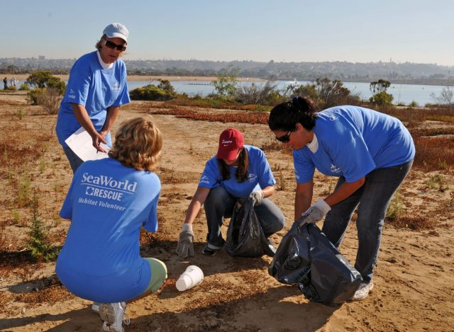 SeaWorld Announces Ocean Health Initiative