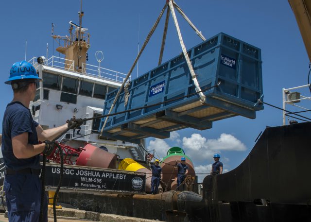 Pilot Whale Successfully Returns to the Sea