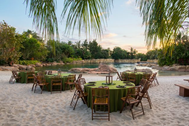 Dine alongside Dolphins during Paradise Nights at Discovery Cove