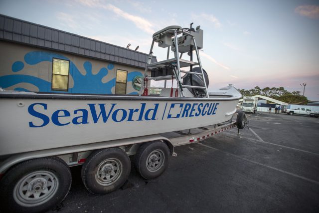 Get a Peek Behind-the-Scenes at SeaWorld’s Inside Look