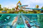 Aquatica Orlando Dives into Spring with ALL-NEW Reef Plunge Now Open thumbnail image